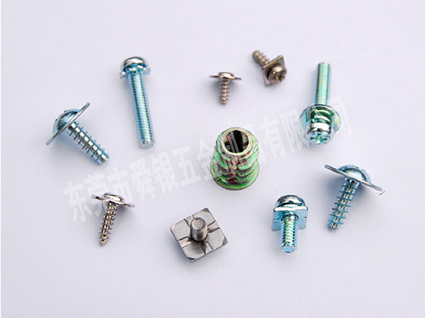 special screw